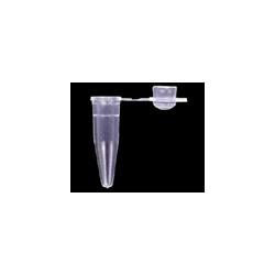 0.2 ml Individual Tubes with attached Domed Cap MAT150C