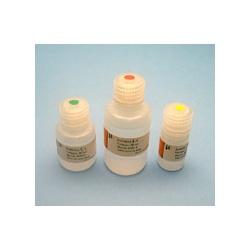 DNAmite® Direct - Large Scale Samples, 50 preps 2DD-50