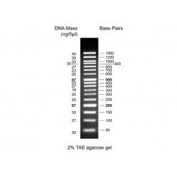 Discover DNA Ladder, 100-1,500bp, Ready to use DDL-001