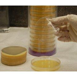 Porous cellophane circles, 8cm diameter, pack of 100 EJA08-100